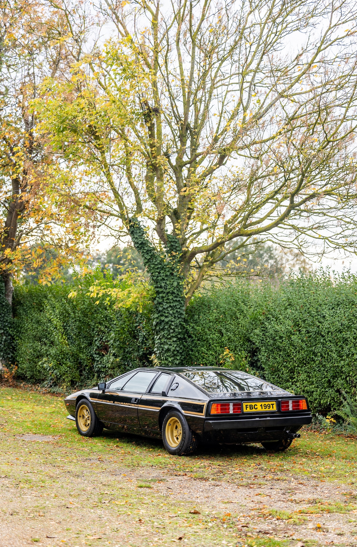 Used Lotus Esprit 1979 for sale - 77529250: Photo 16