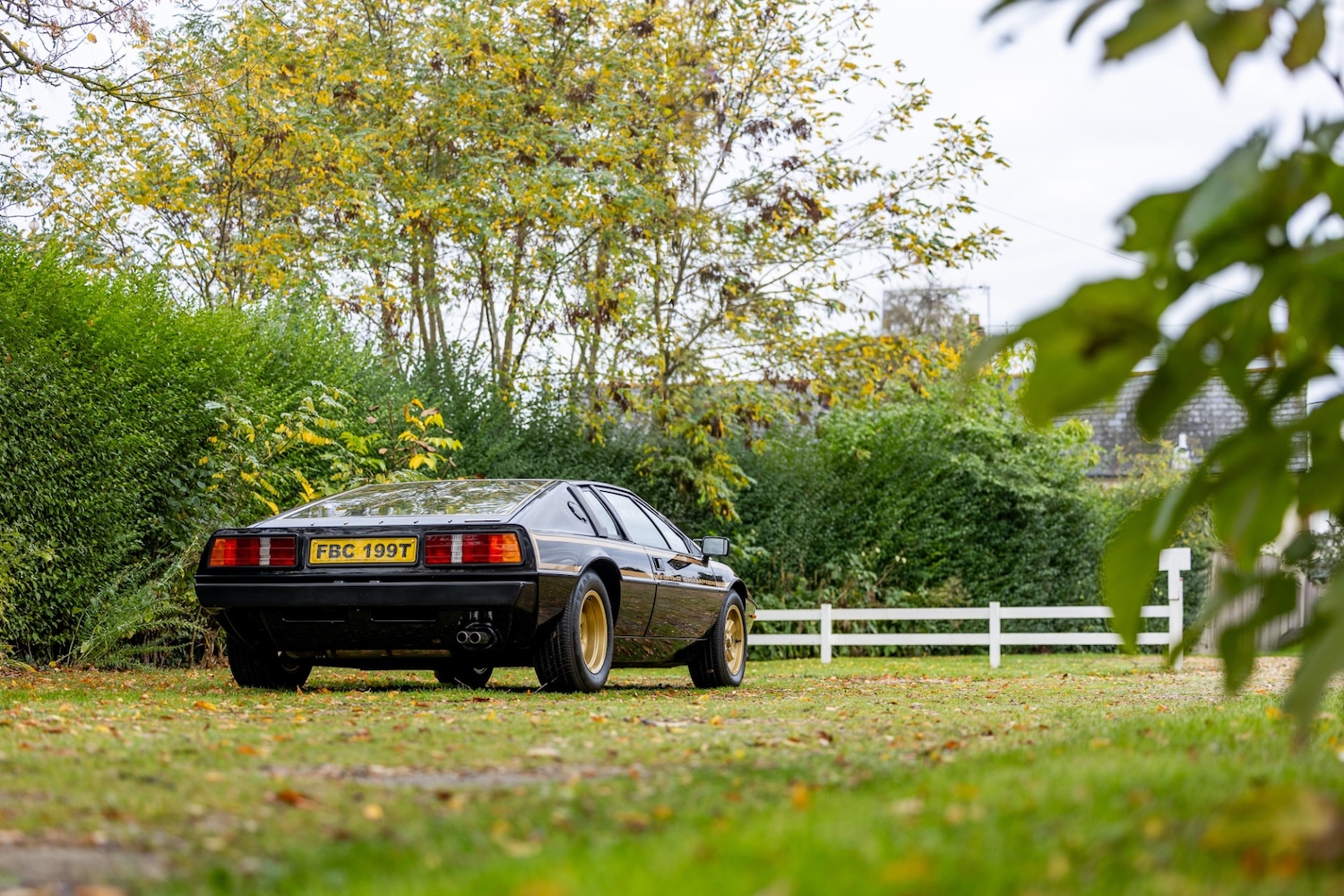 Used Lotus Esprit 1979 for sale - 77529250: Photo 18
