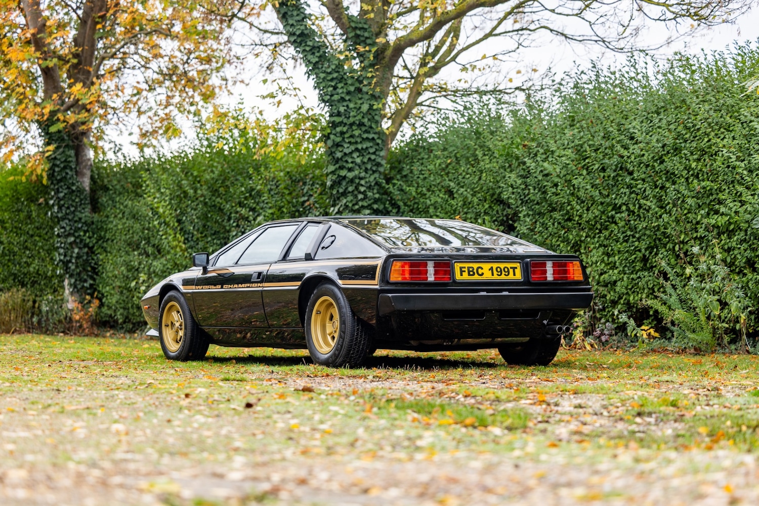 Used Lotus Esprit 1979 for sale - 77529250: Photo 22