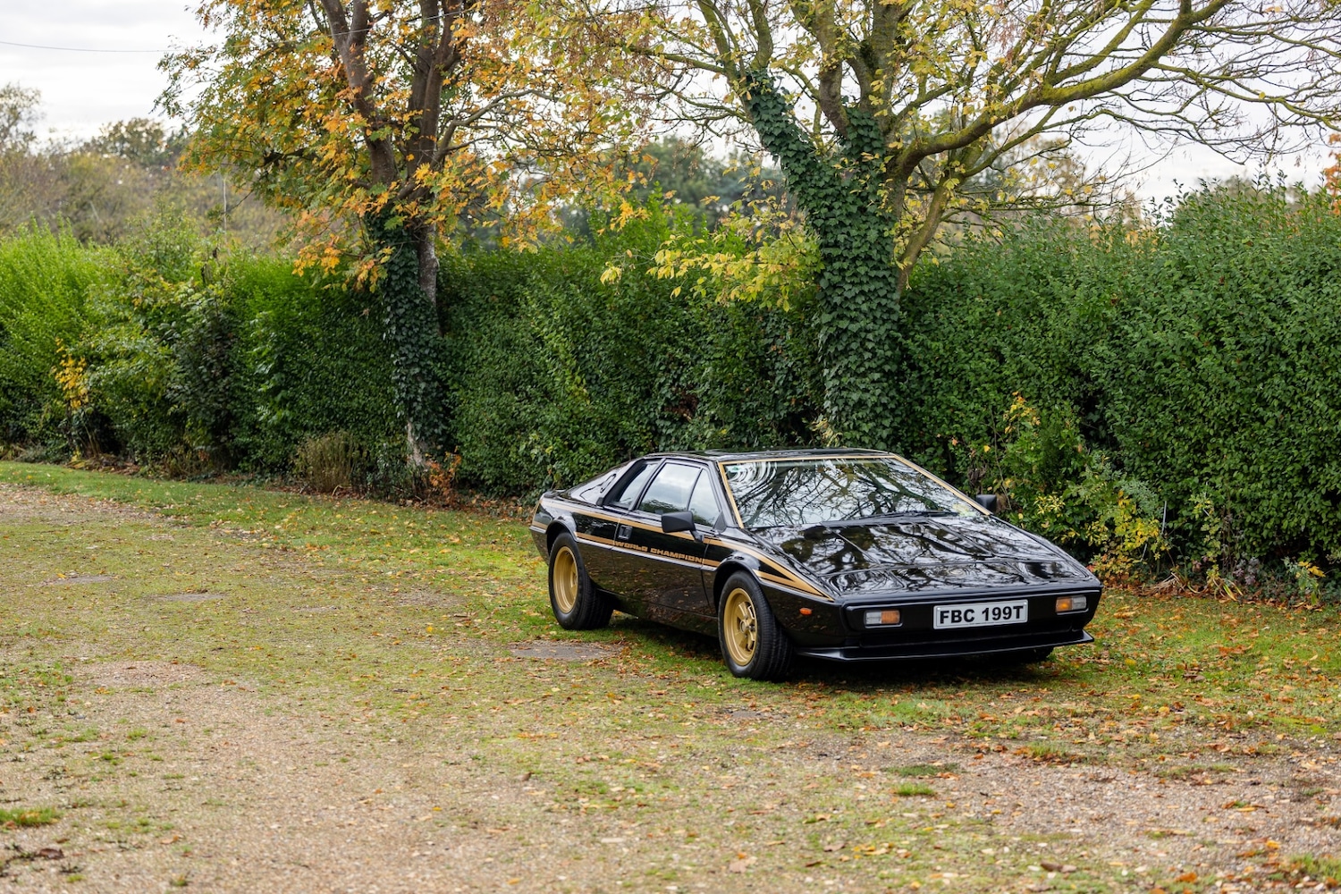 Used Lotus Esprit 1979 for sale - 77529250: Photo 24