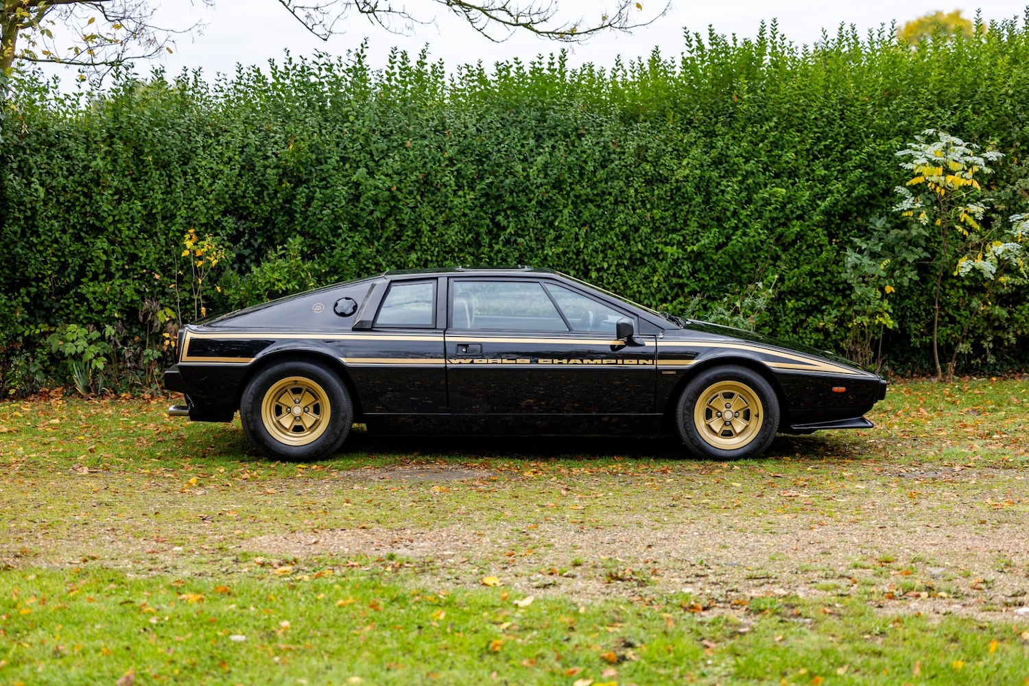 Used Lotus Esprit 1979 for sale - 77529250: Photo 27