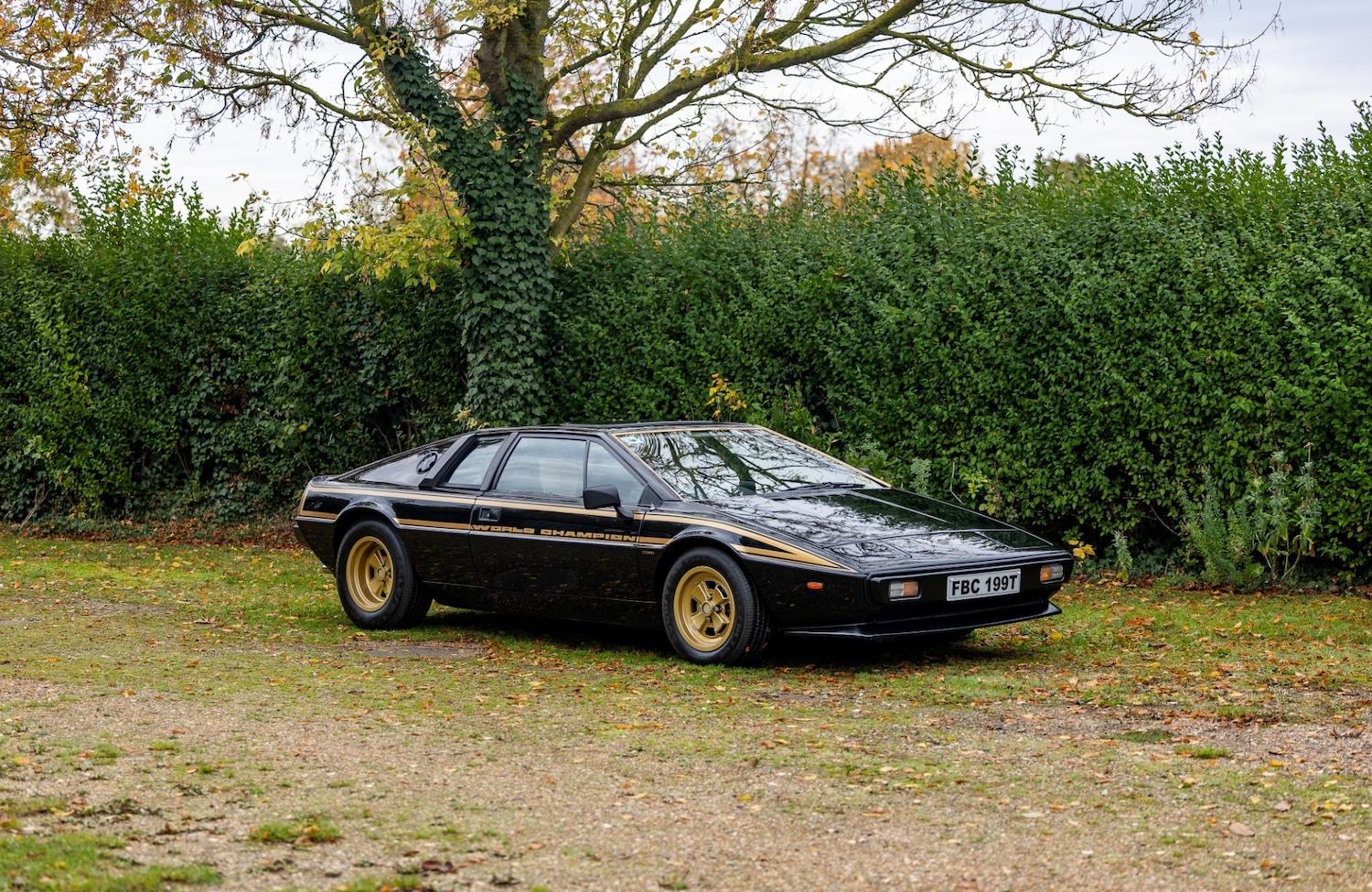 Used Lotus Esprit 1979 for sale - 77529250: Photo 28