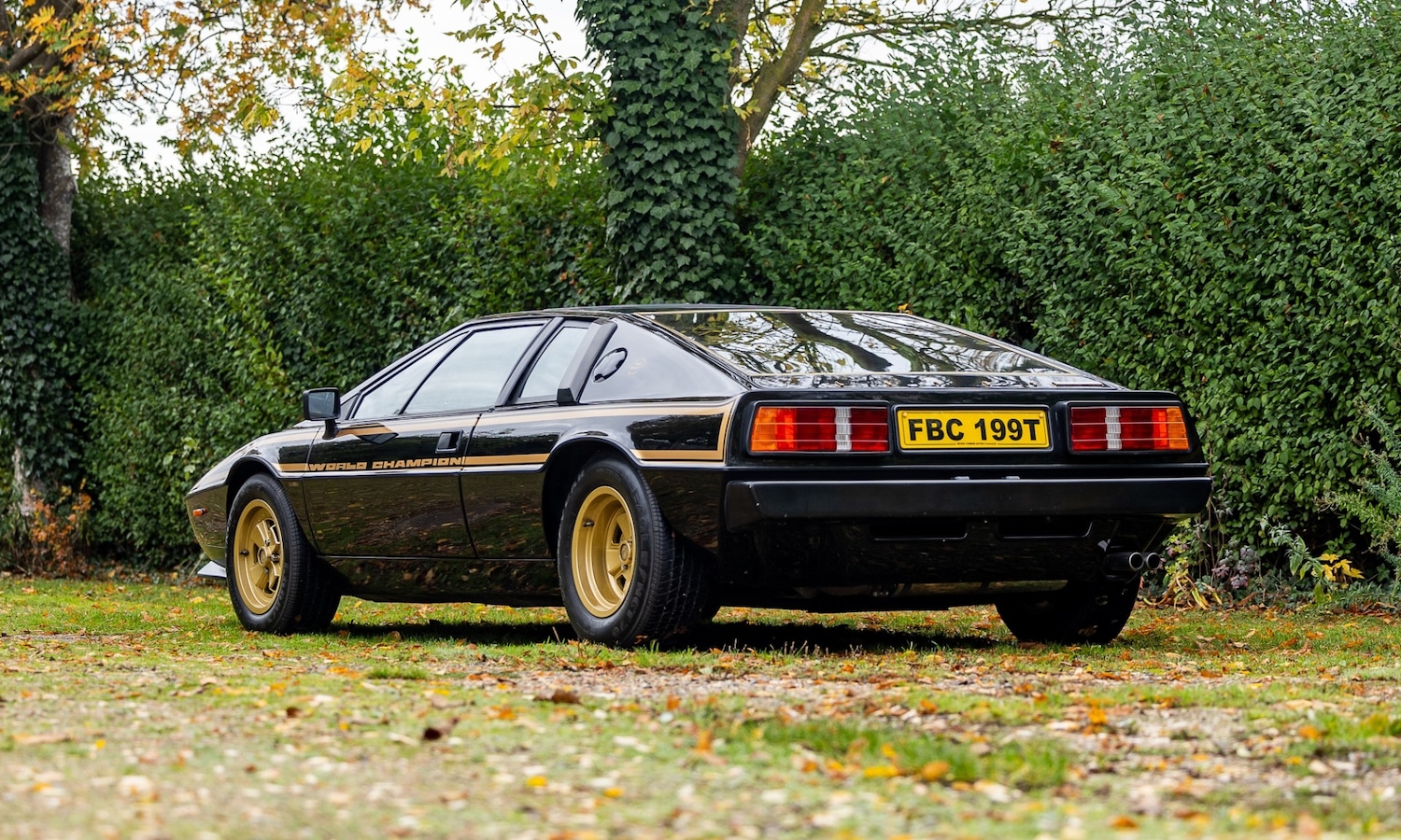 Used Lotus Esprit 1979 for sale - 77529250: Photo 3