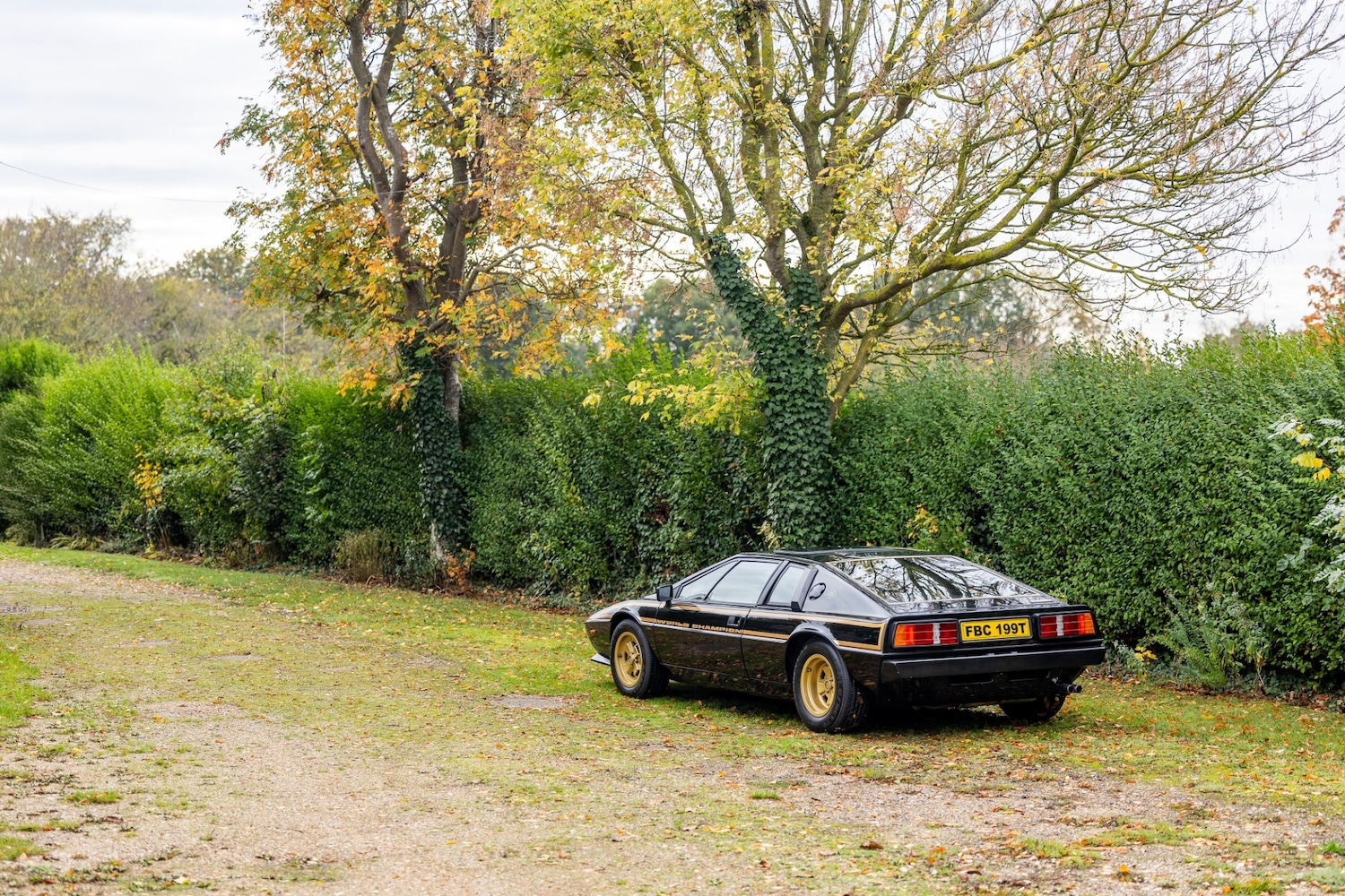 Used Lotus Esprit 1979 for sale - 77529250: Photo 30