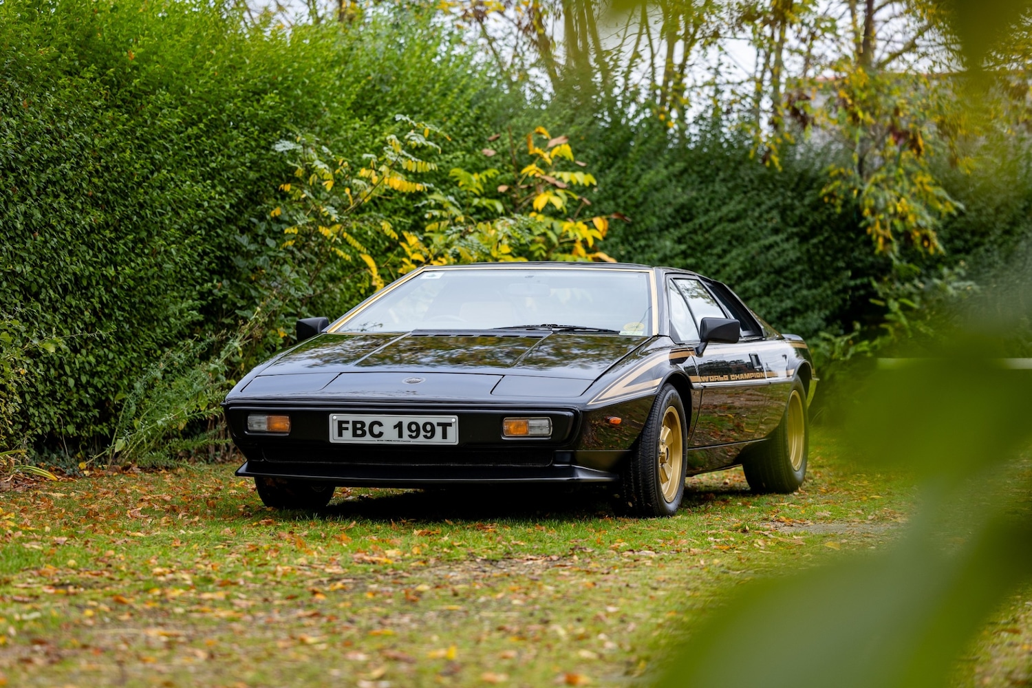 Used Lotus Esprit 1979 for sale - 77529250: Photo 32