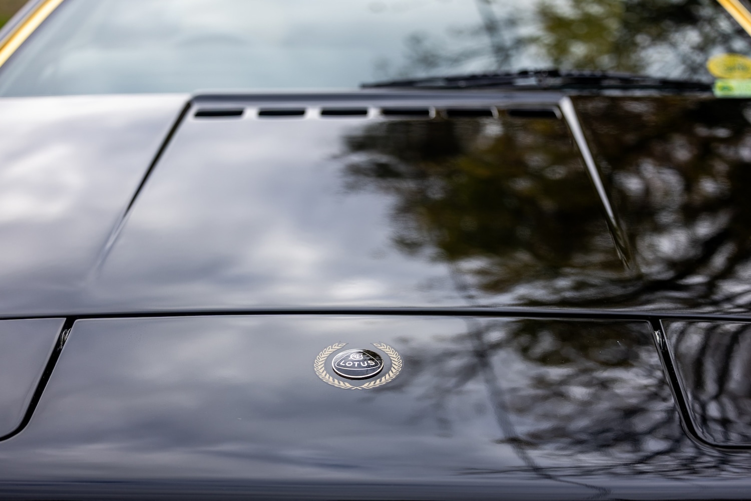 Used Lotus Esprit 1979 for sale - 77529250: Photo 41