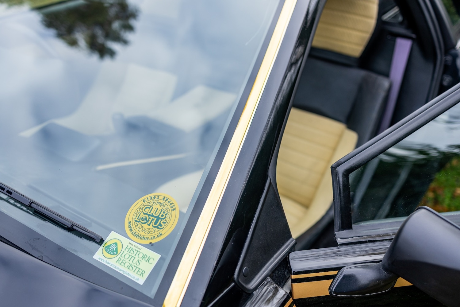 Used Lotus Esprit 1979 for sale - 77529250: Photo 49