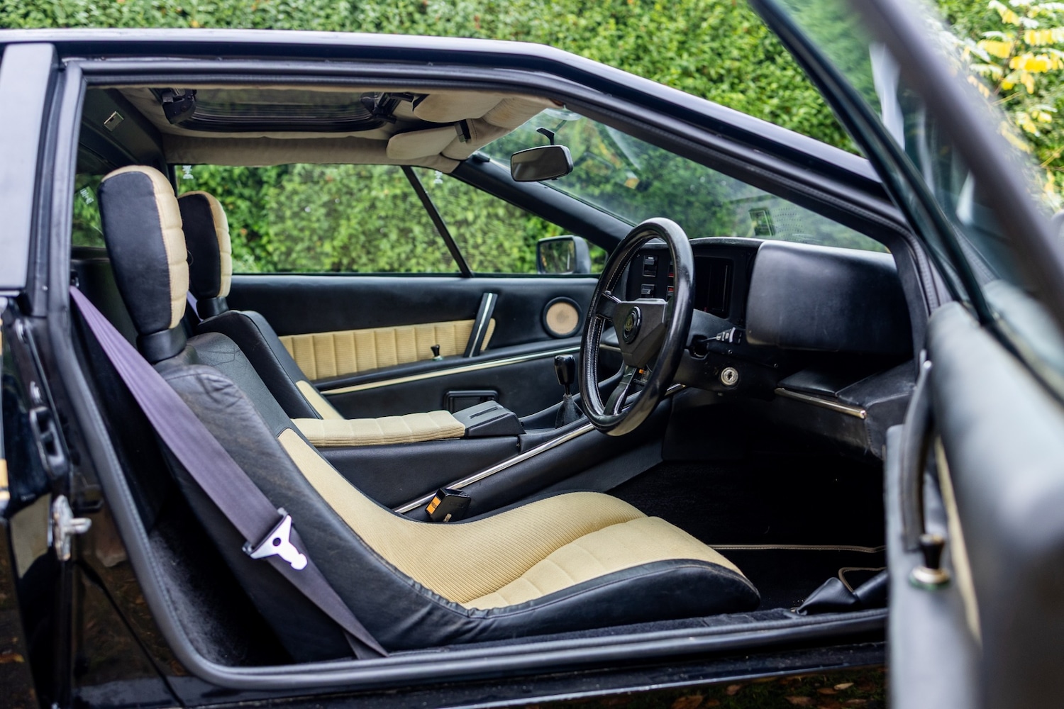 Used Lotus Esprit 1979 for sale - 77529250: Photo 65