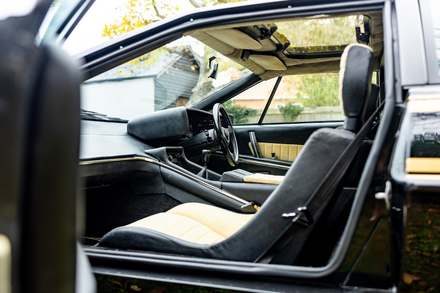 Used Lotus Esprit 1979 for sale - 77529250: Photo 66