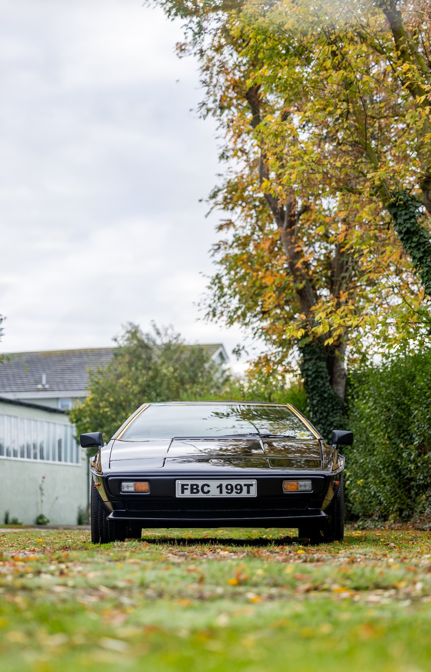 Used Lotus Esprit 1979 for sale - 77529250: Photo 9