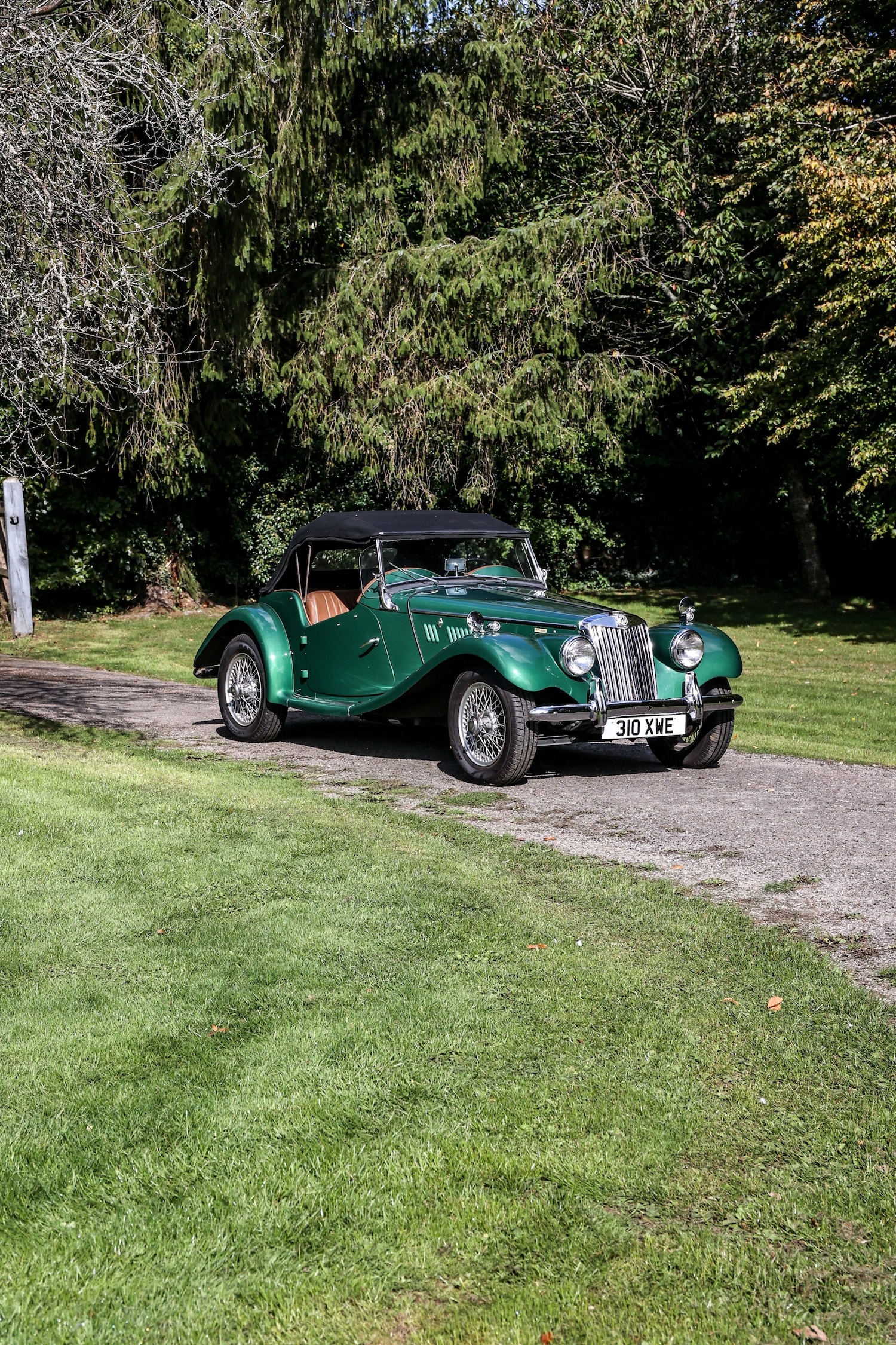 Used MG TF 2024 for sale - 77531968: Photo 15