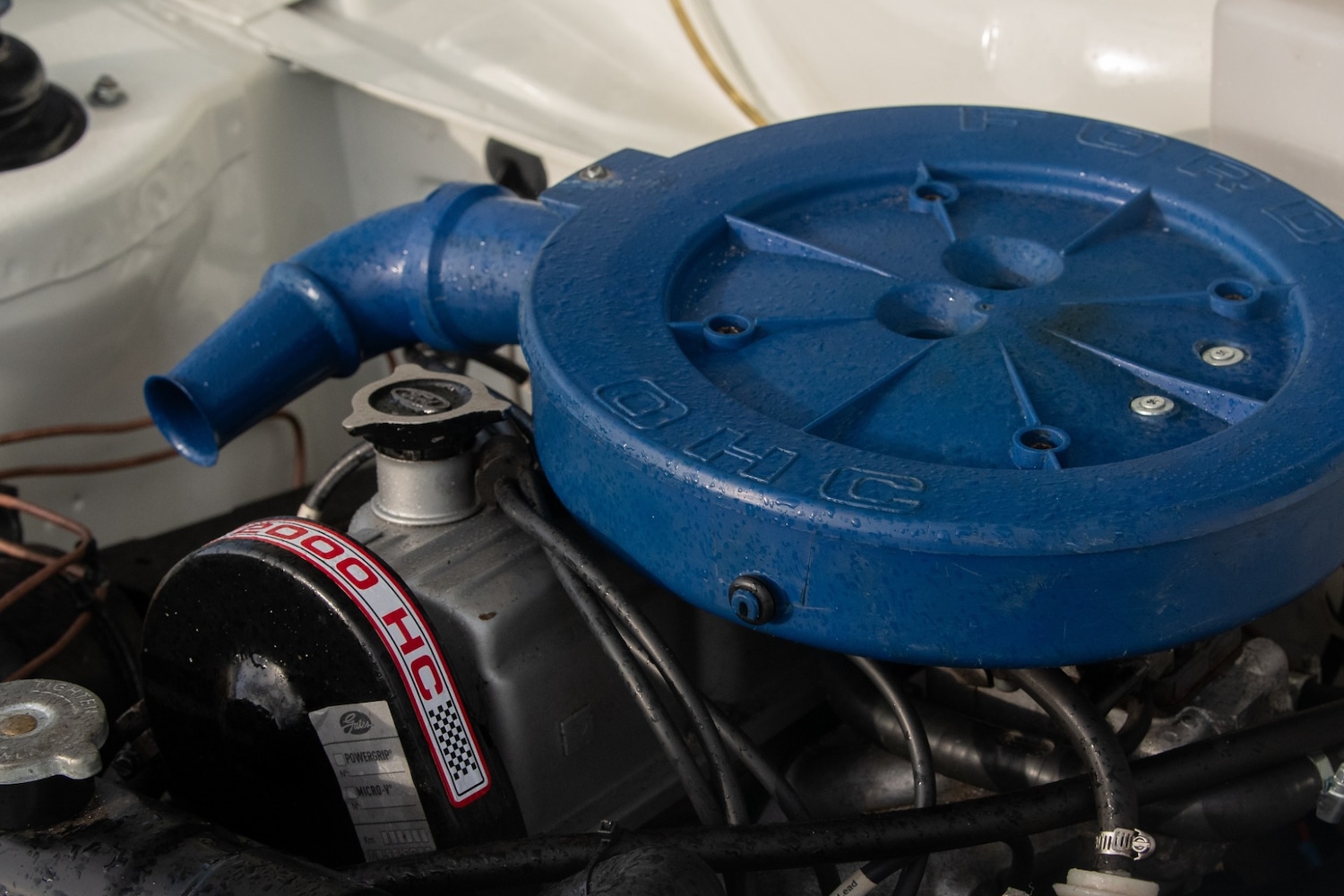 Used Ford Escort 1974 for sale - 77529799: Photo 56