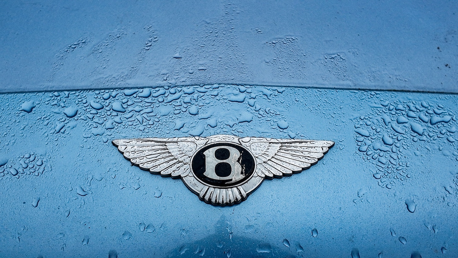 Used Bentley Continental 2007 for sale - 77591464: Photo 11