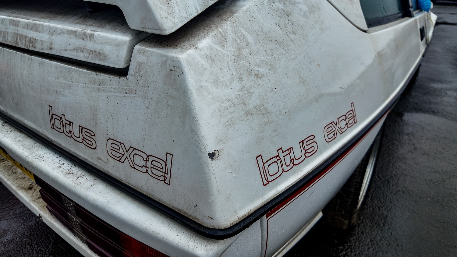 Used Lotus Eclat 1984 for sale - 77581199: Photo 12