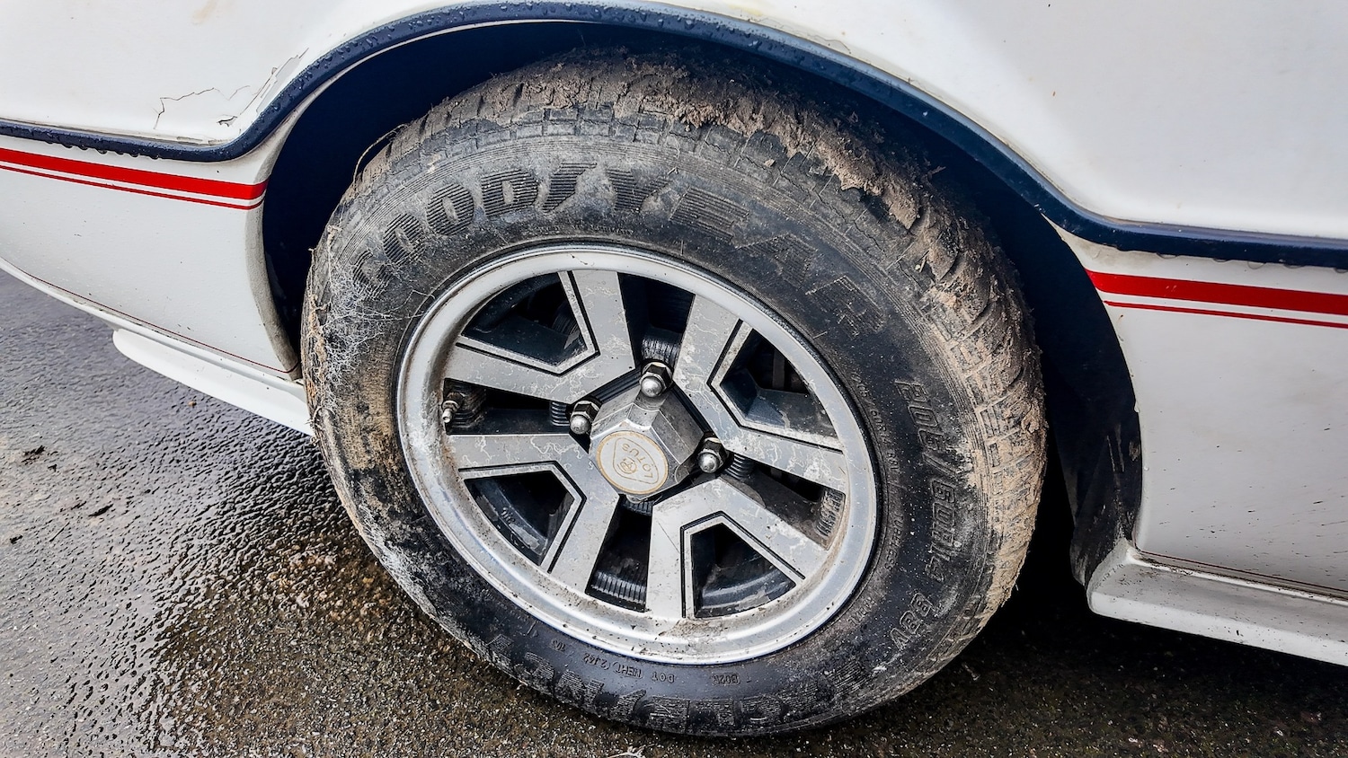 Used Lotus Eclat 1984 for sale - 77581199: Photo 13