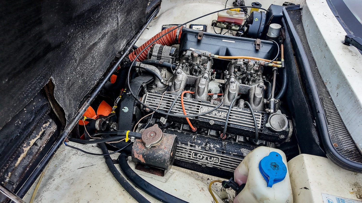 Used Lotus Eclat 1984 for sale - 77581199: Photo 19