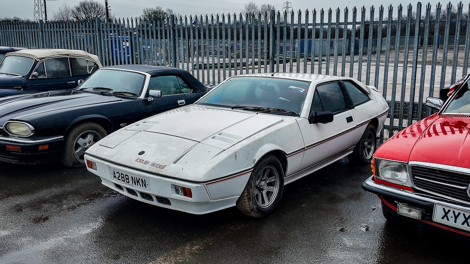 Used Lotus Eclat 1984 for sale - 77581199: Photo 2