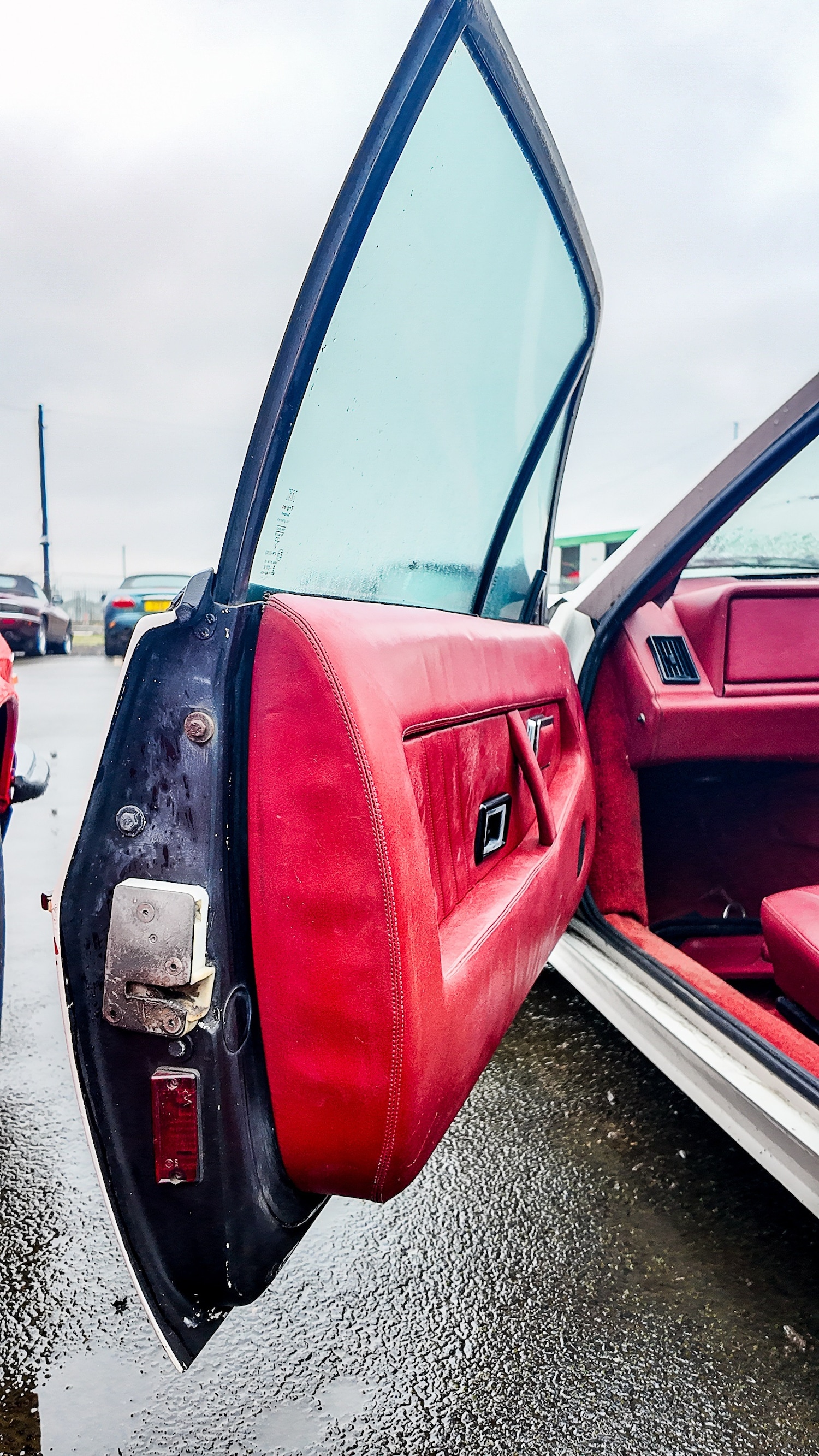 Used Lotus Eclat 1984 for sale - 77581199: Photo 20