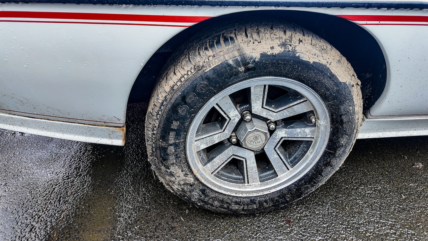 Used Lotus Eclat 1984 for sale - 77581199: Photo 24