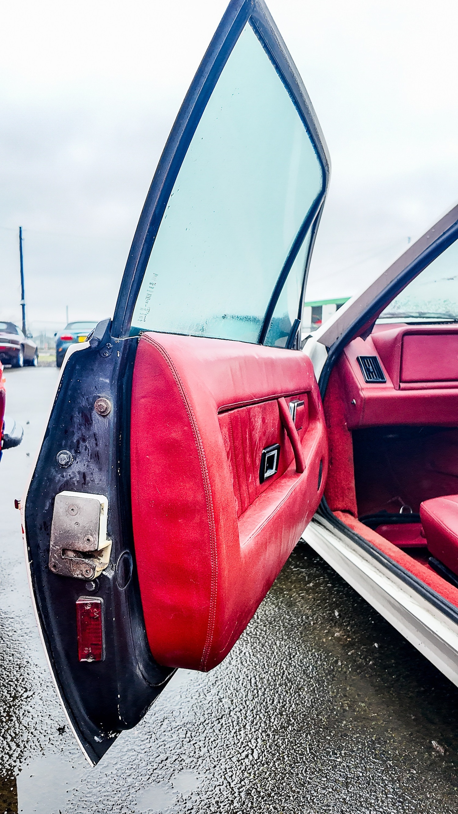 Used Lotus Eclat 1984 for sale - 77581199: Photo 28