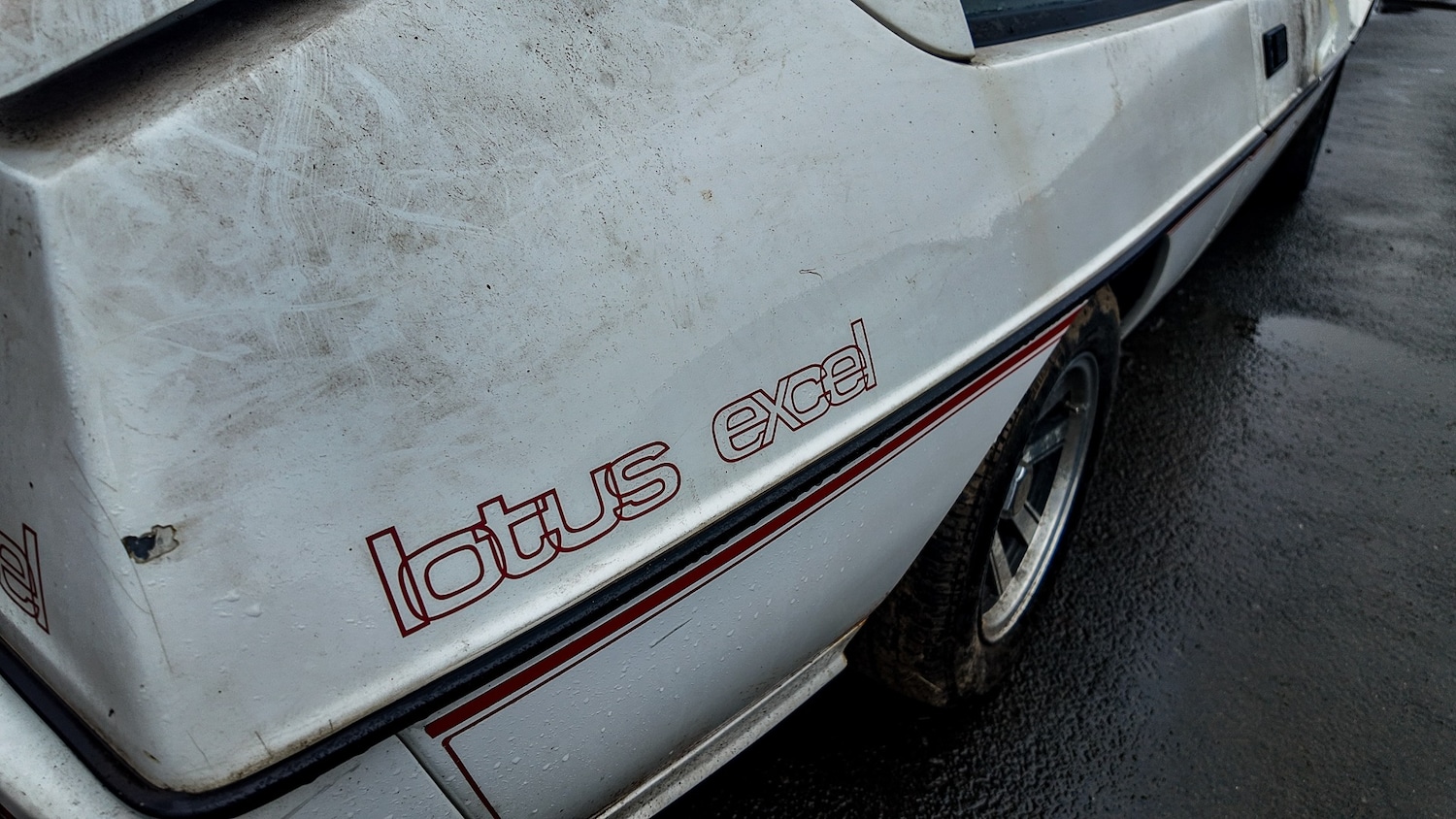 Used Lotus Eclat 1984 for sale - 77581199: Photo 29