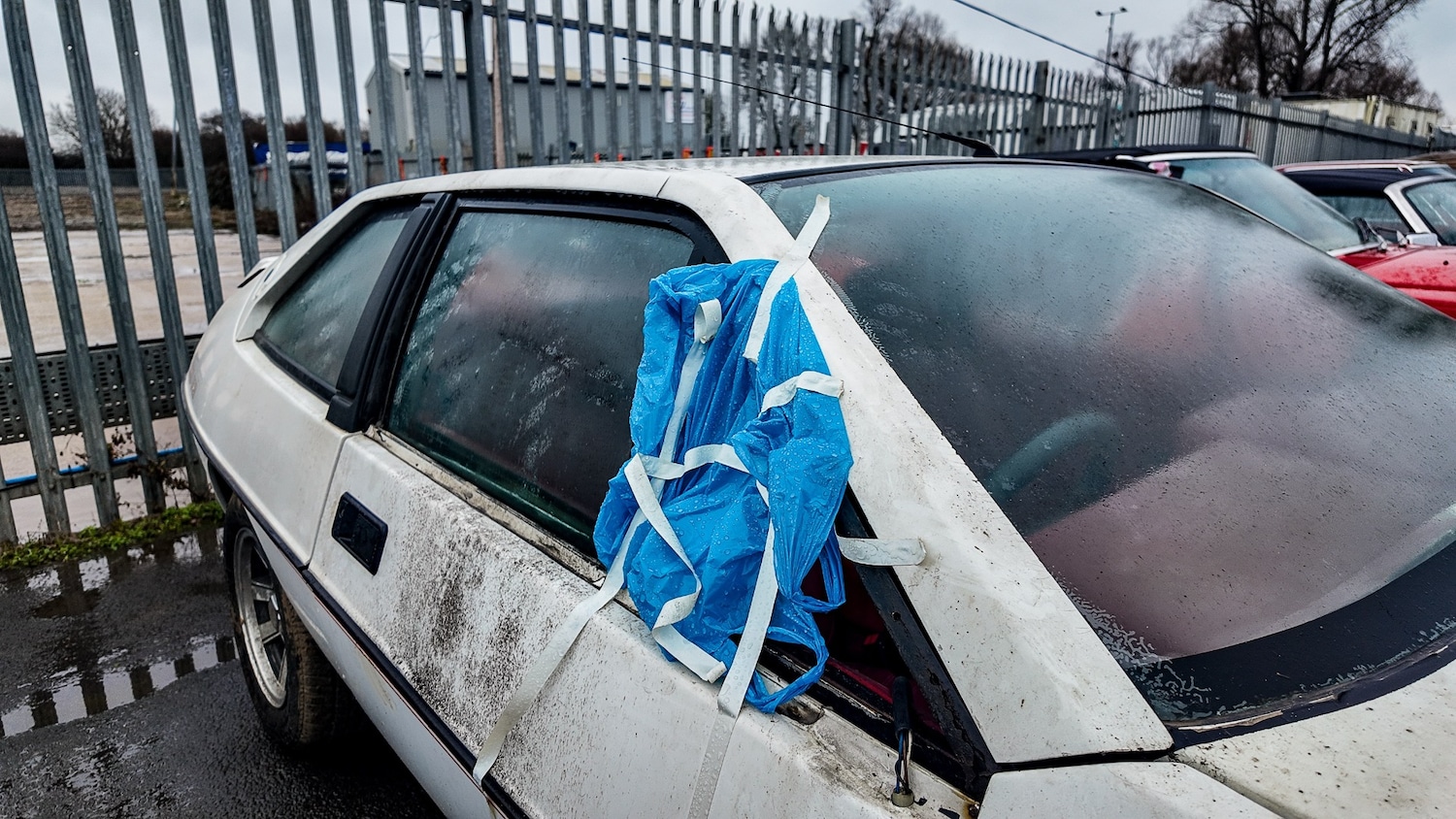 Used Lotus Eclat 1984 for sale - 77581199: Photo 30