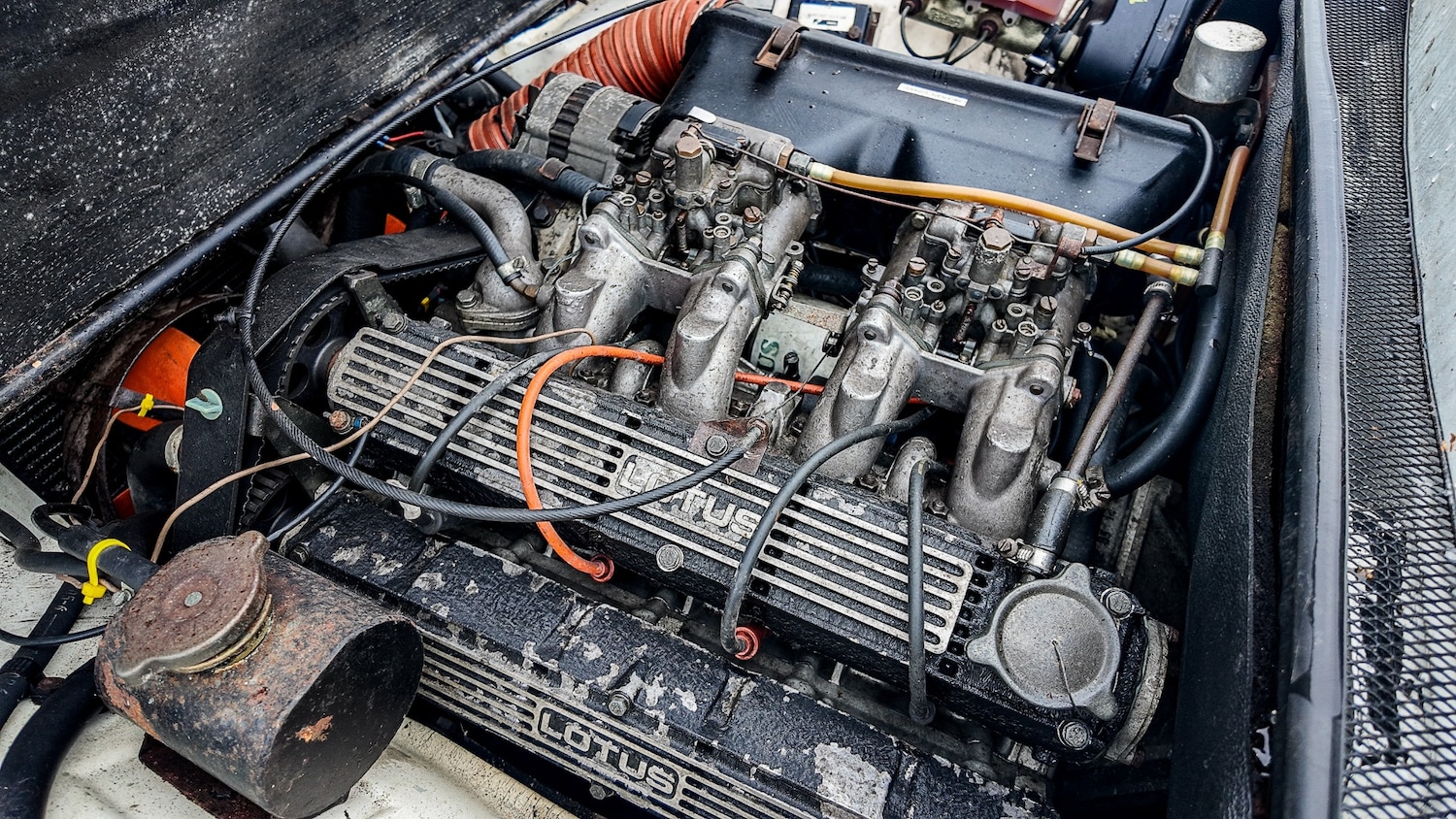 Used Lotus Eclat 1984 for sale - 77581199: Photo 4