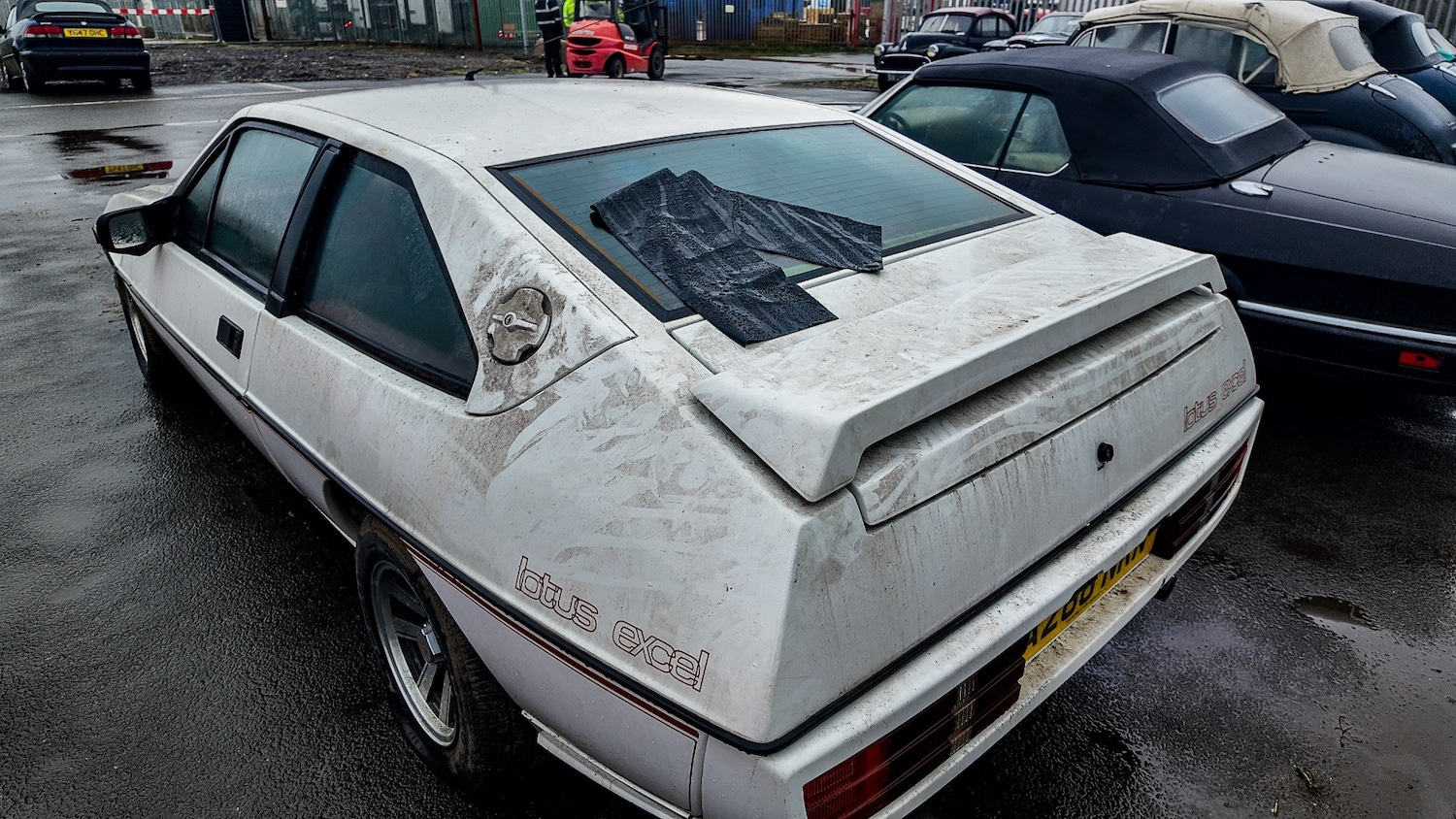 Used Lotus Eclat 1984 for sale - 77581199: Photo 5