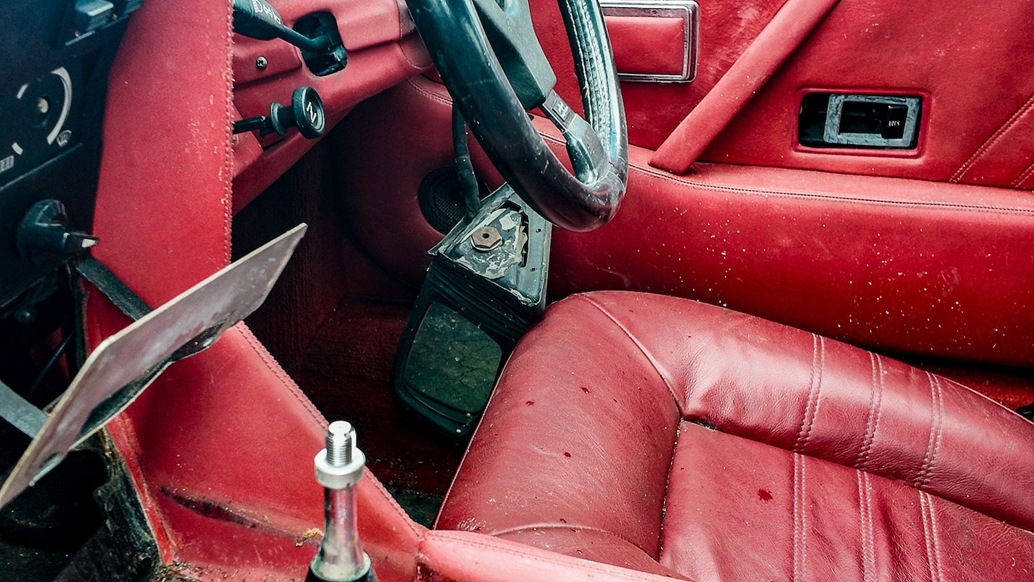 Used Lotus Eclat 1984 for sale - 77581199: Photo 6