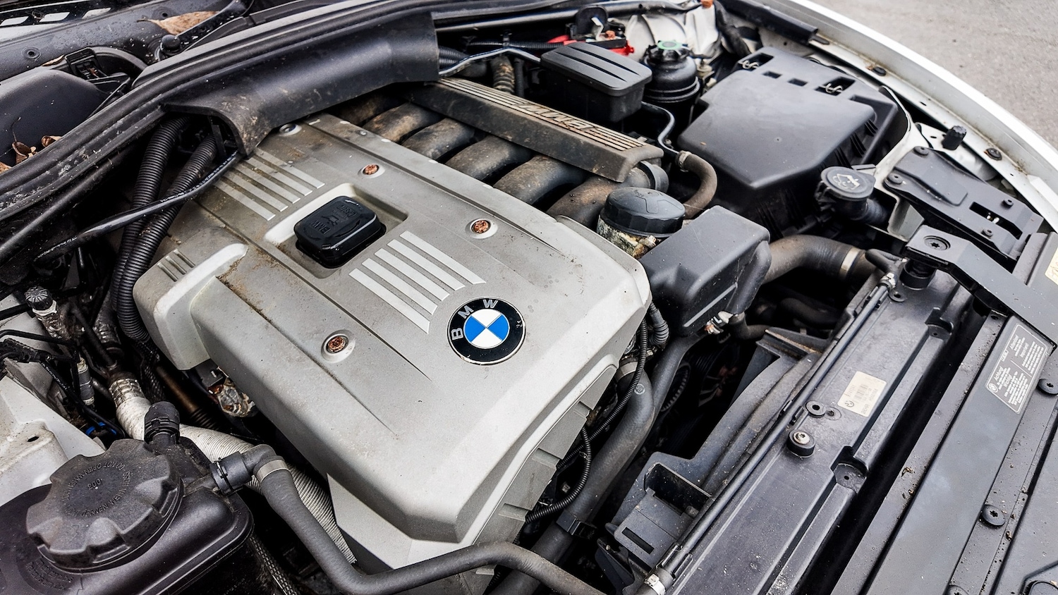 Used BMW 6 Series 2014 for sale - 77592377: Photo 7