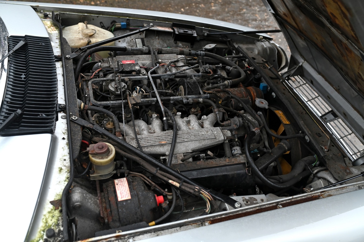 Used Jaguar XJS 1985 for sale - 77459870: Photo 14