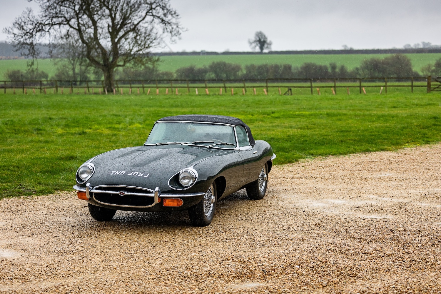 Used Jaguar E-Type 2015 for sale - 77543347: Photo 10