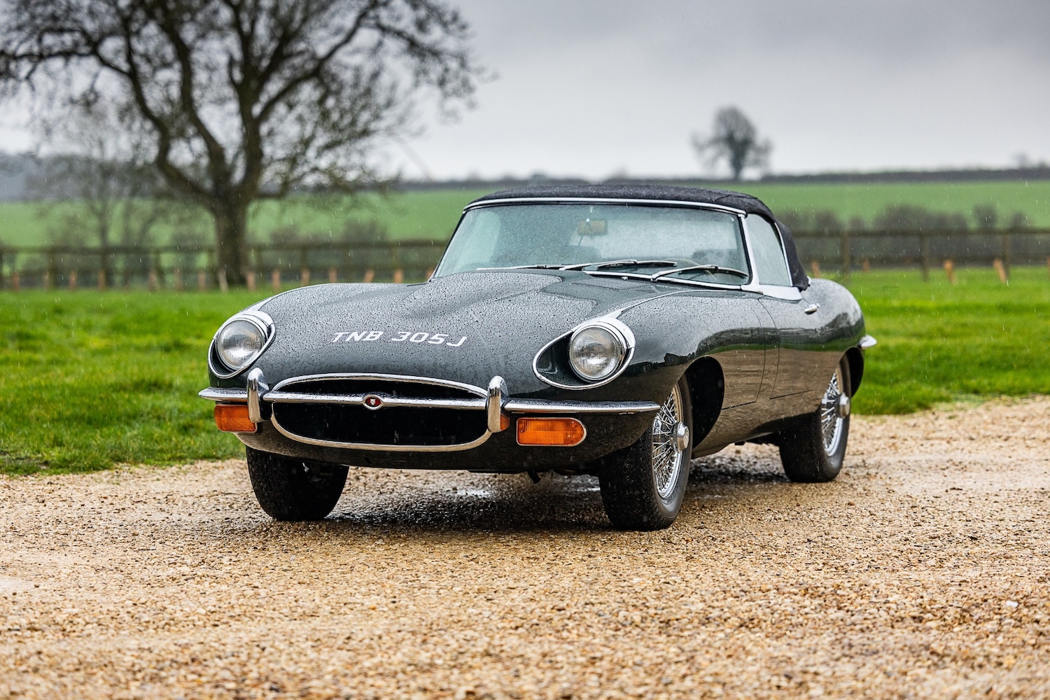 Used Jaguar E-Type 2015 for sale - 77543347: Photo 20
