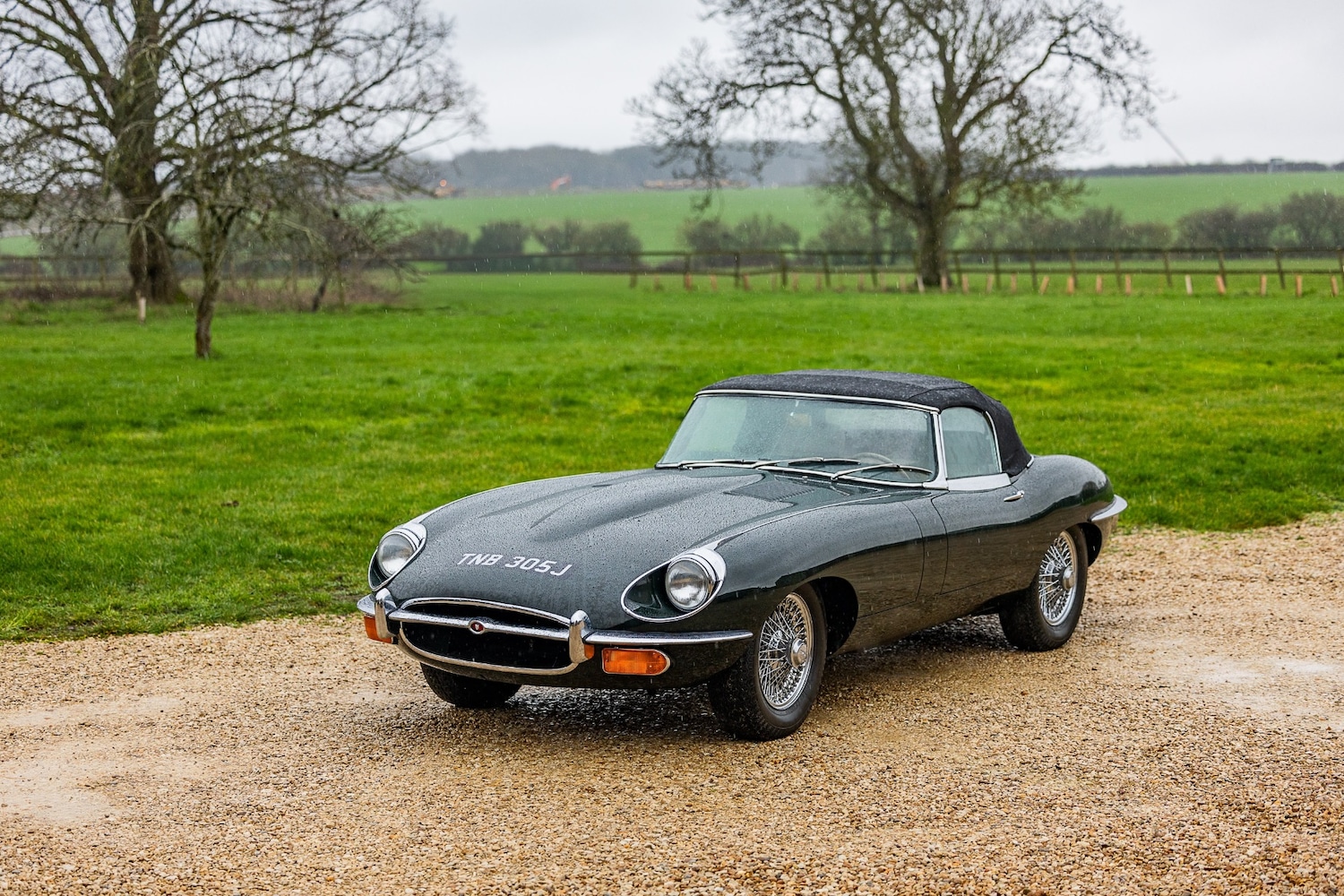 Used Jaguar E-Type 2015 for sale - 77543347: Photo 24