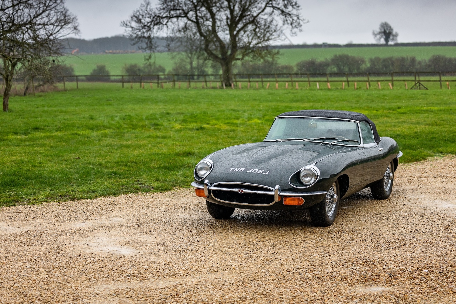 Used Jaguar E-Type 2015 for sale - 77543347: Photo 29