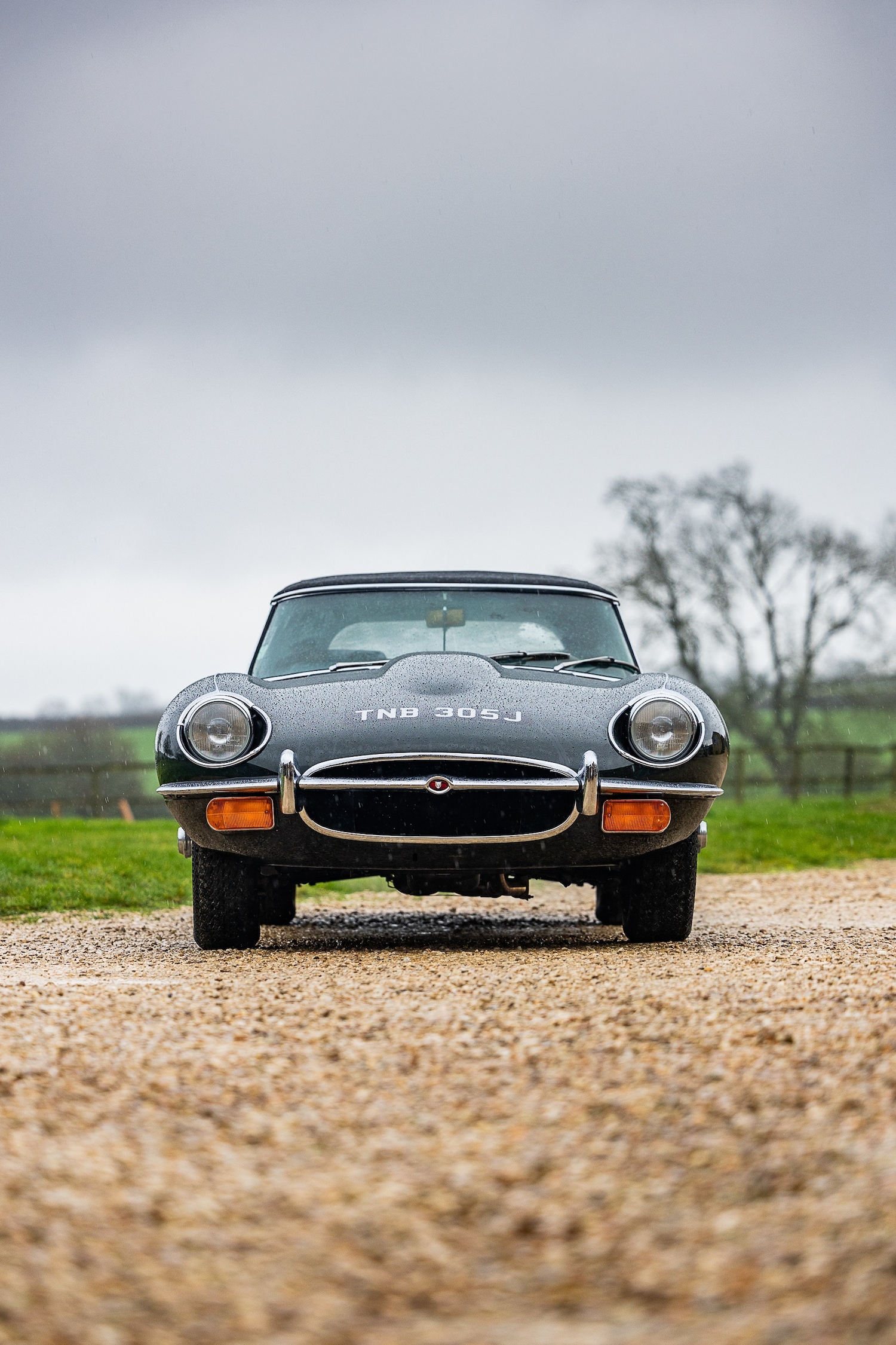 Used Jaguar E-Type 2015 for sale - 77543347: Photo 56