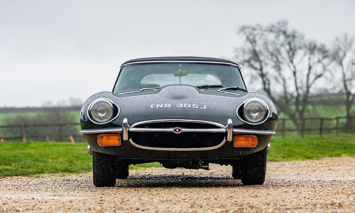 Used Jaguar E-Type 2015 for sale - 77543347: Photo 6