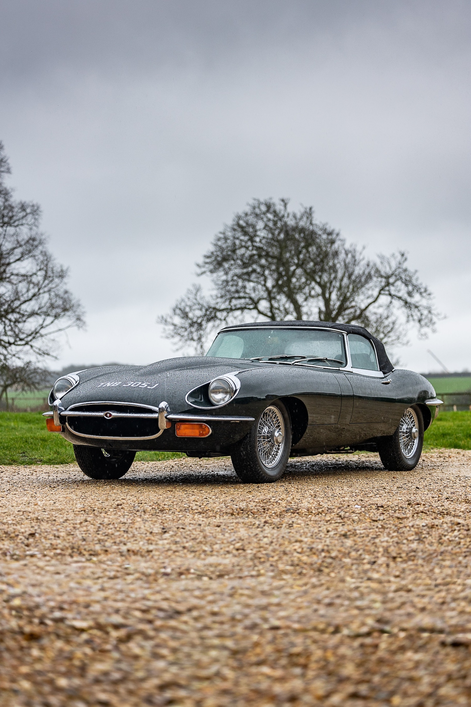 Used Jaguar E-Type 2015 for sale - 77543347: Photo 7
