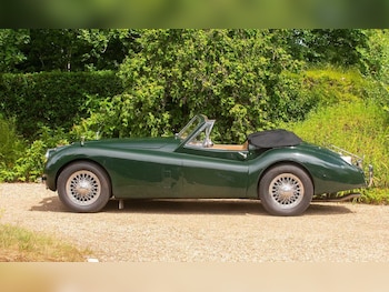 Used Jaguar XK 1954 for sale - 79057255: Photo