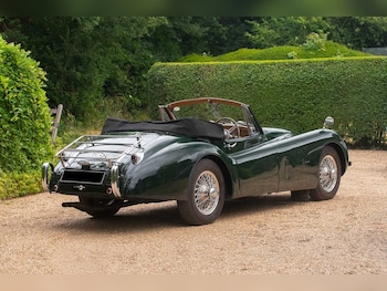 Used Jaguar XK 1954 for sale - 79057255: Photo