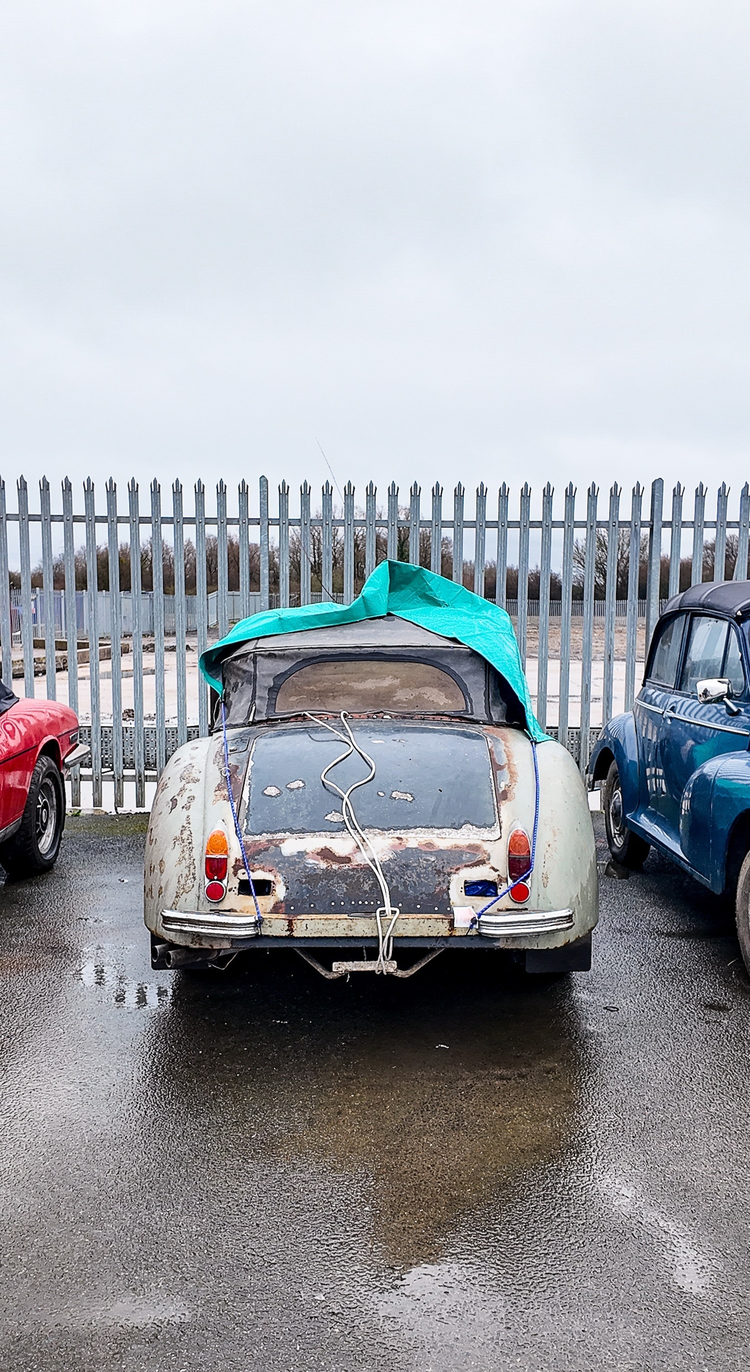 Used Jaguar XK for sale - 77581552: Photo 12