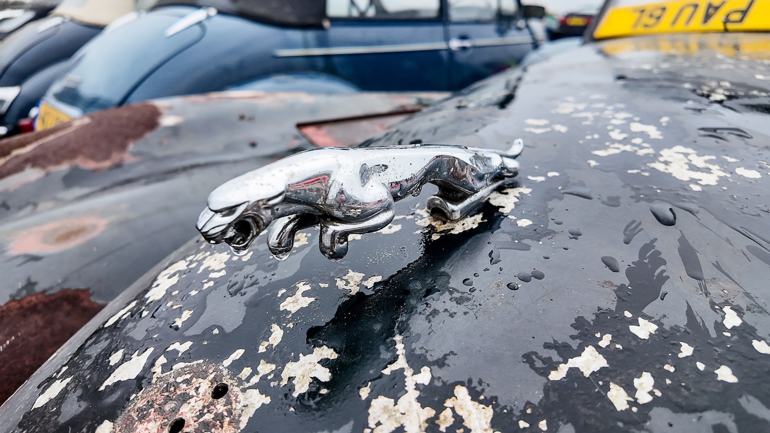 Used Jaguar XK for sale - 77581552: Photo 30