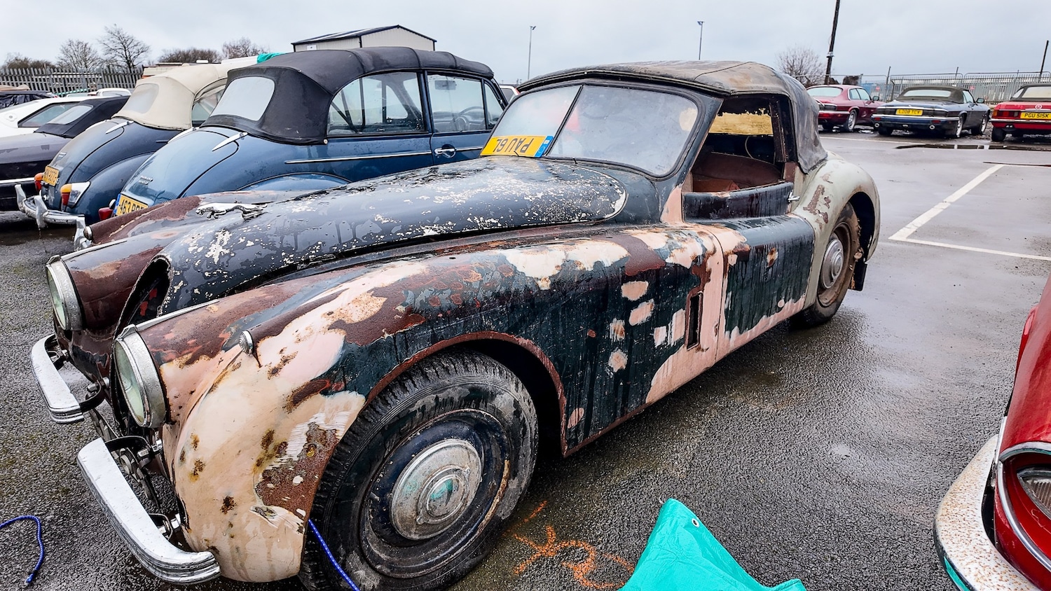 Used Jaguar XK for sale - 77581552: Photo 41