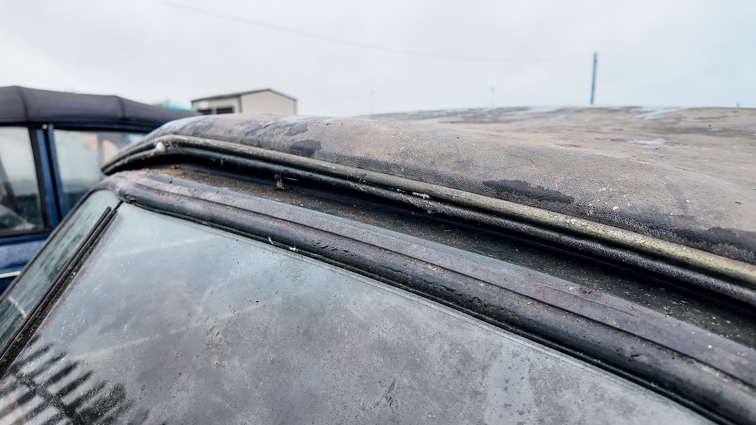 Used Jaguar XK for sale - 77581552: Photo 43