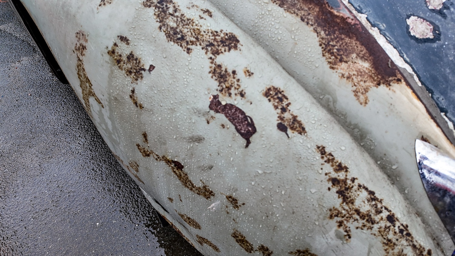 Used Jaguar XK for sale - 77581552: Photo 52