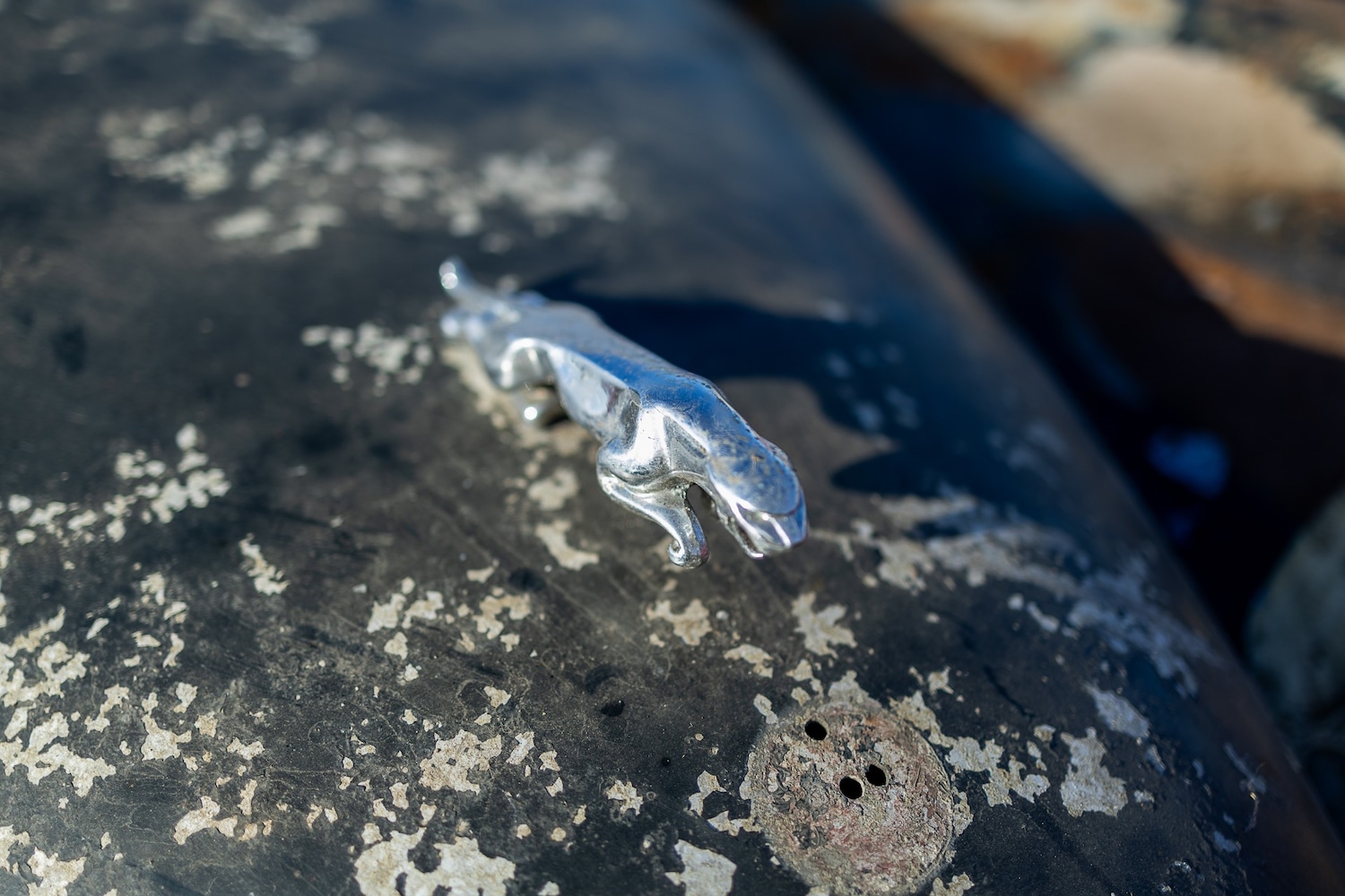 Used Jaguar XK for sale - 77581552: Photo 6