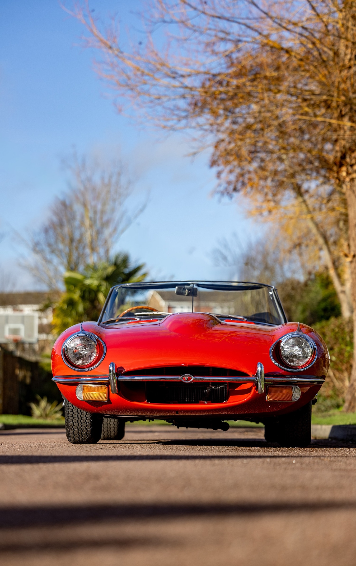 Used Jaguar E-Type 1969 for sale - 77431512: Photo 8