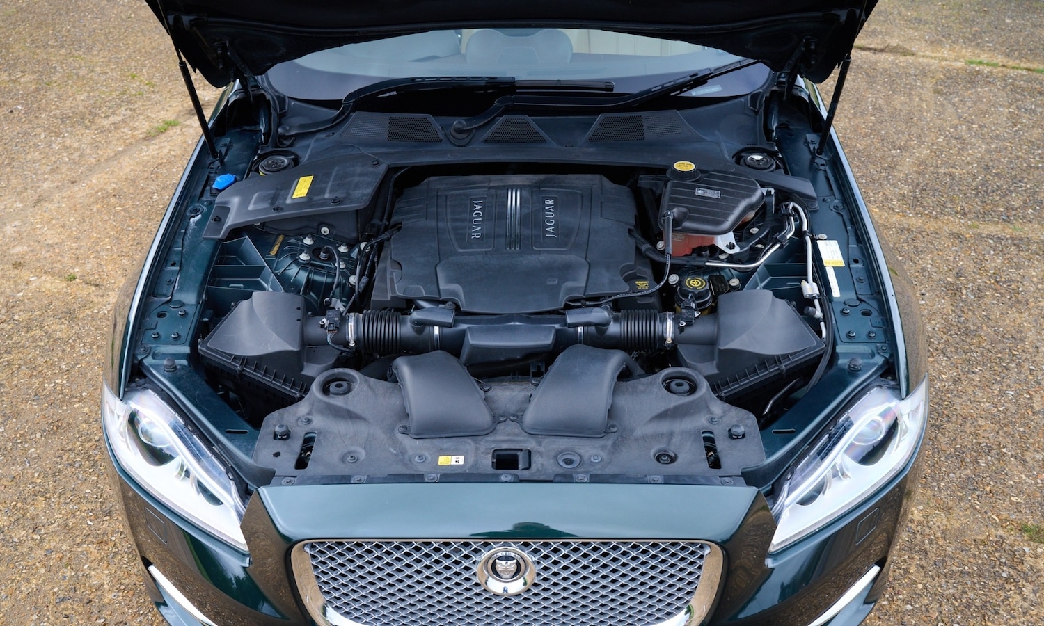 Used Jaguar XK 2010 for sale - 77542545: Photo 5