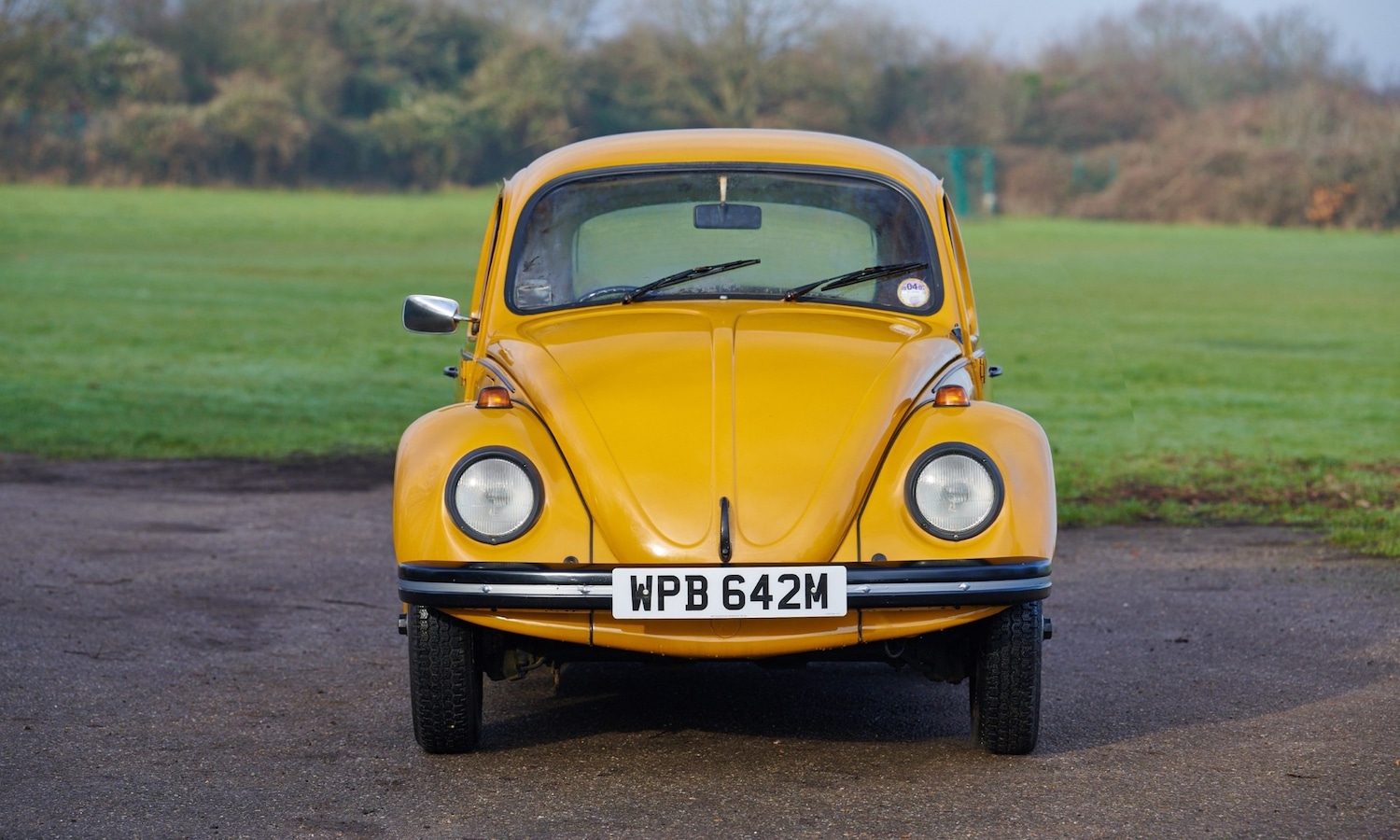 Used Volkswagen Beetle 1974 for sale - 77445745: Photo 6