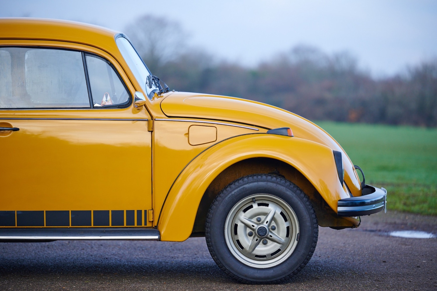 Used Volkswagen Beetle 1974 for sale - 77445745: Photo 8